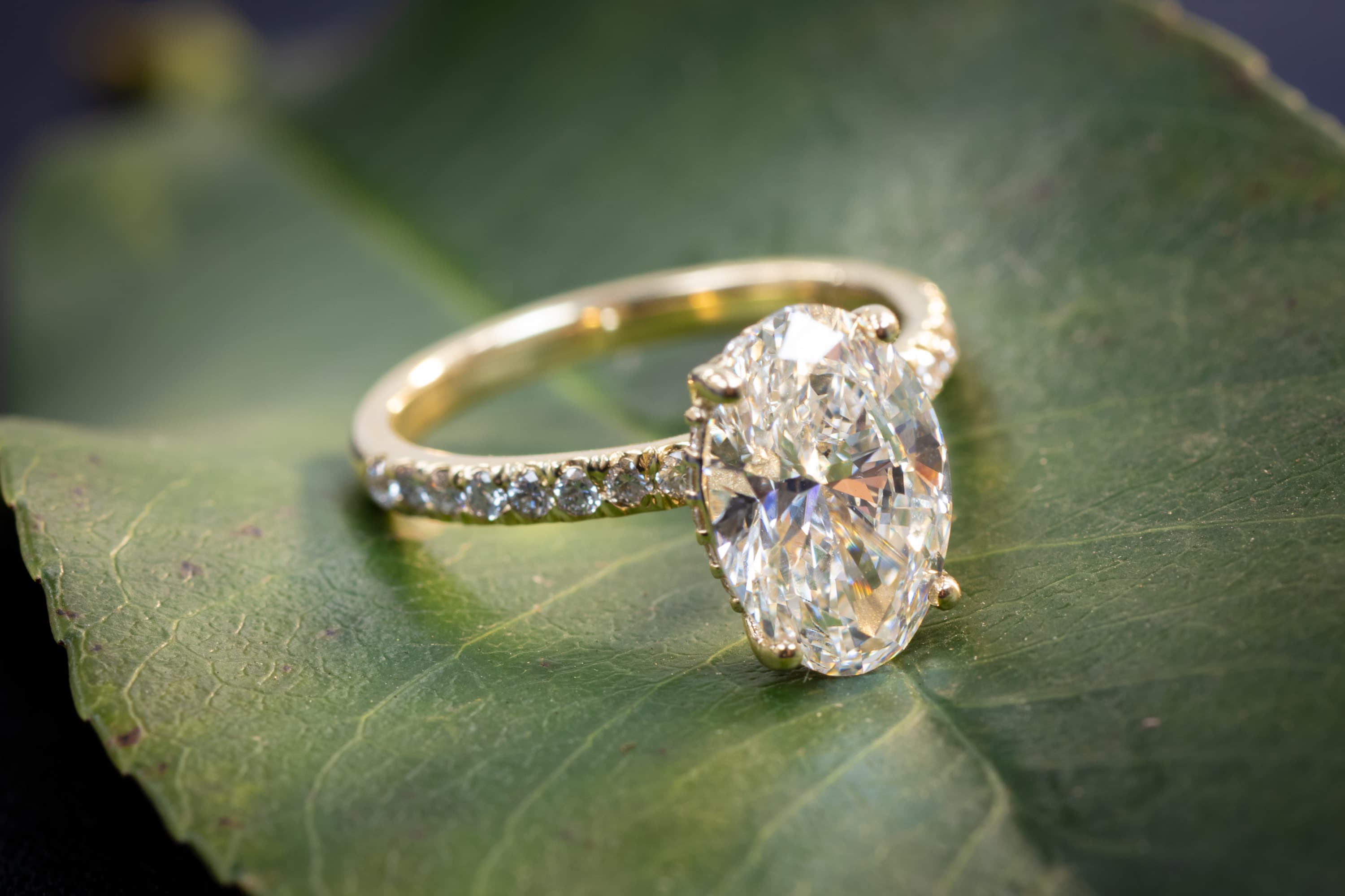 A recycled yellow gold engagement ring beside a eucalyptus sprig and a loose lab-grown diamond on navy linen